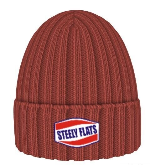 Steely Classic Logo Beanie