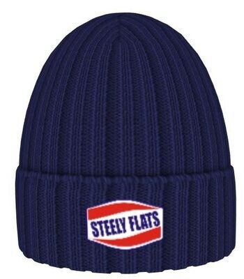 Steely Classic Logo Beanie